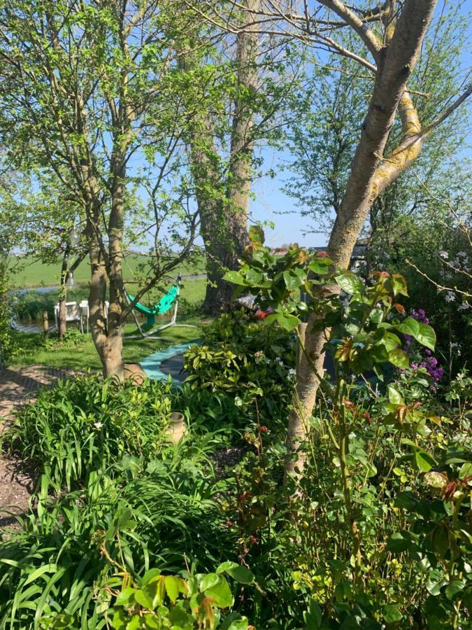 Very Nice Cottage In Durgerdam, With Private Garden, Free Parking, Pets Allowed Amsterdam Eksteriør billede
